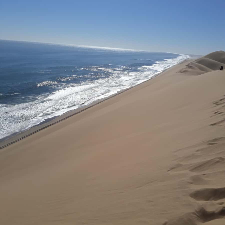 Walvis Bay: Kayaking and Sandwich Harbour Full-Day Tour - Price and value: why $224 can feel high, then makes sense