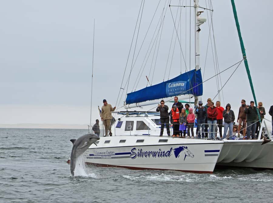 Walvis Bay: Marine Big 5 Luxury Catamaran Tour - Price and value: where $76 makes sense and where it might not