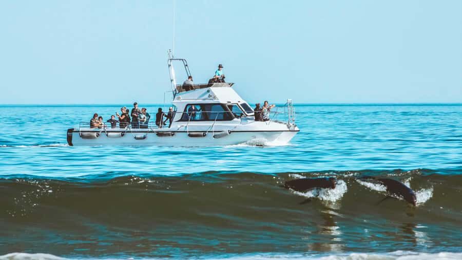 Walvis Bay: Namibian Coast Dolphin Cruise with Light Lunch - What the 3 Hours Feel Like: Timing, Weather, and Pacing