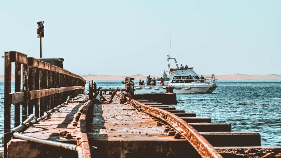 Walvis Bay: Namibian Coast Dolphin Cruise with Light Lunch - Should You Book This Walvis Bay Dolphin Cruise?