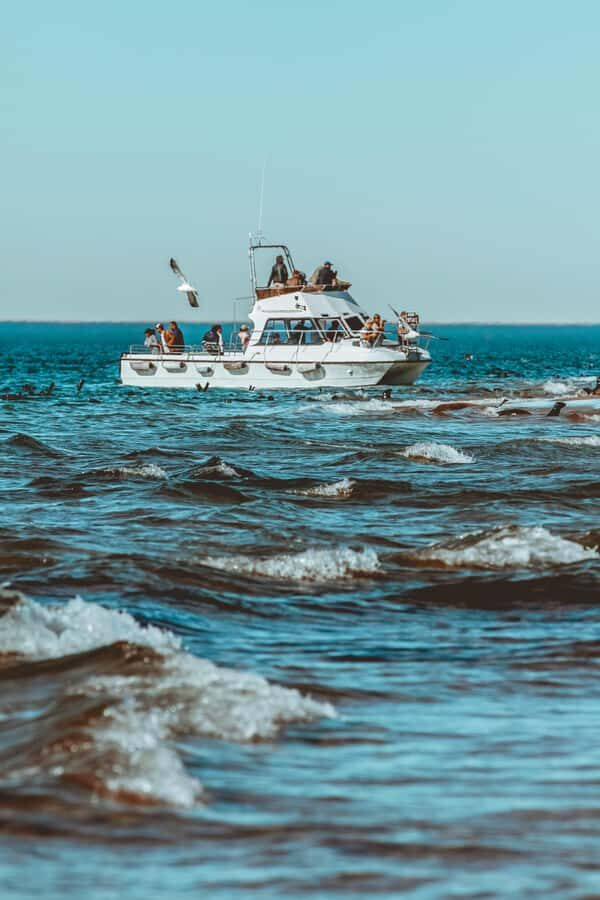 Walvis Bay: Namibian Coast Dolphin Cruise with Light Lunch - Starting at Walvis Bay Waterfront: Coffee, Blankets, and Getting Oriented