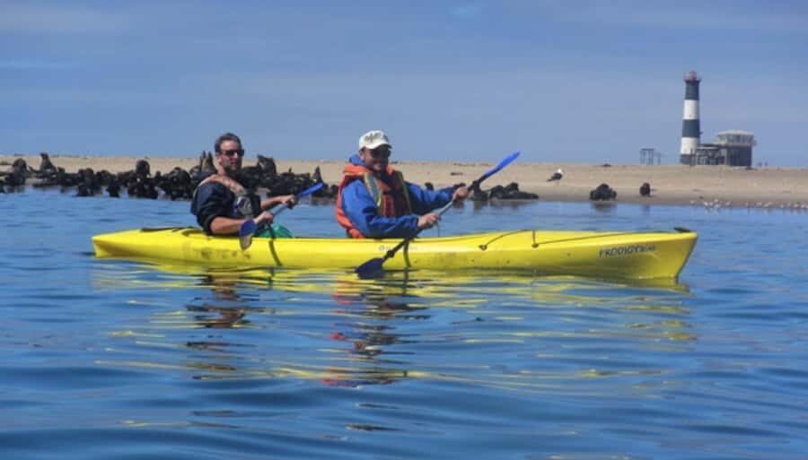 Walvis Bay: Pelican Point Kayaking Tour - Key highlights to expect