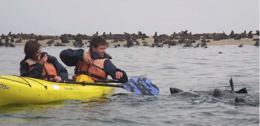 Walvis Bay: Pelican Point Kayaking Tour - Pelican Point Peninsula: why this kayaking spot is so special
