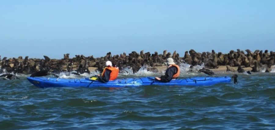 Walvis Bay: Pelican Point Kayaking Tour - Getting kitted up: waterproof gear, splash covers, and what you’ll still feel