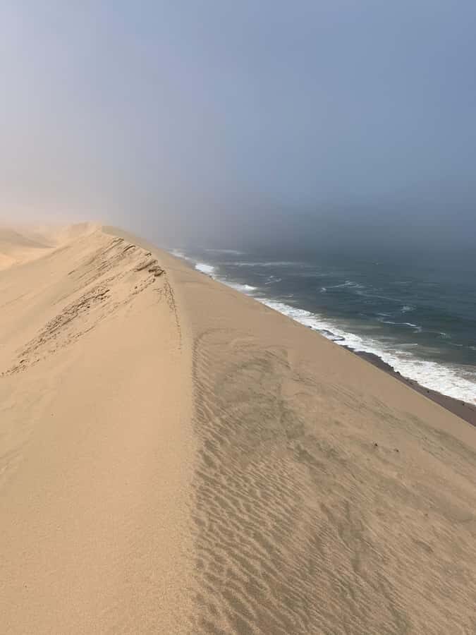 Walvis Bay: Pelican Point Seal and Sandwich Harbour Tour - Bird Island (Guano Island) and Walvis Bay Flamingo Lagoon