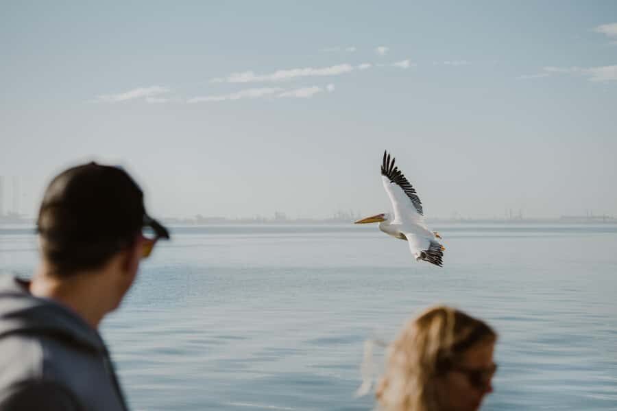 Walvis Bay: Sandwich Harbour 4x4 Trip with Beach BBQ Lunch - How the day runs: morning vs afternoon, and how the catamaran fits in