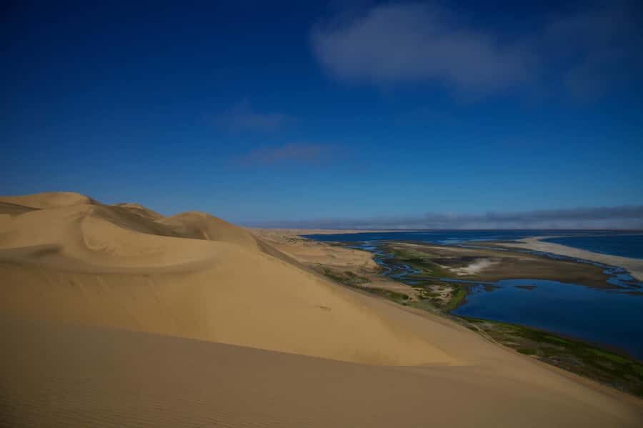 Walvis Bay: Sandwich Harbour Half-Day 4x4 Scenic Excursion - The big draw: Sandwich Harbour is a rare “sea meets dunes” place