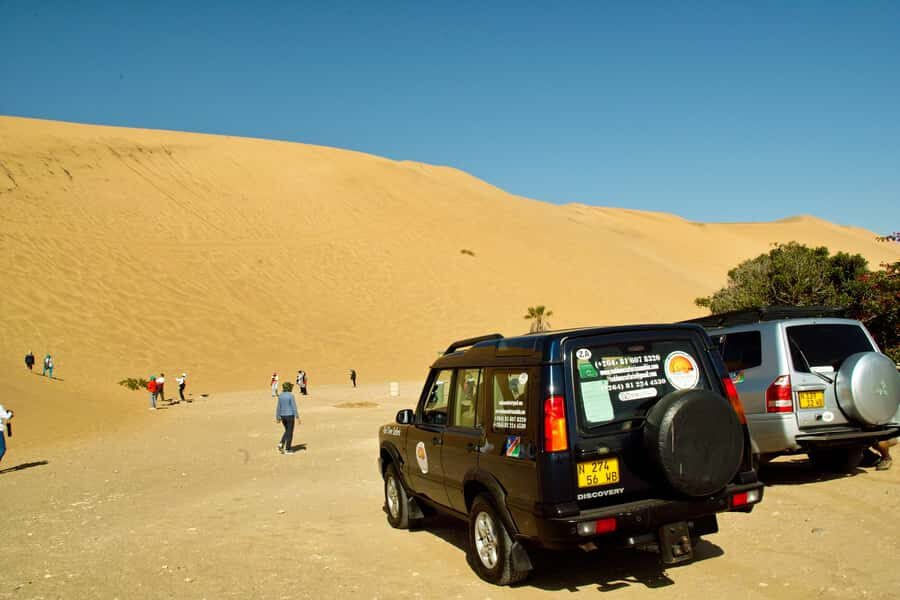 Walvis Bay Shore Excursion: Flamingos, Dune 7, Swakopmund - Goanikontes Oasis: Lunch Break With Practical Toilet Access