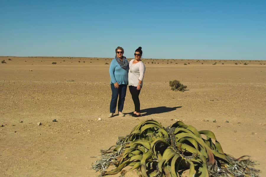 Walvis Bay Shore Excursion: Flamingos, Dune 7, Swakopmund - Swakopmund’s Old German Town: Easy Strolls and Shopping
