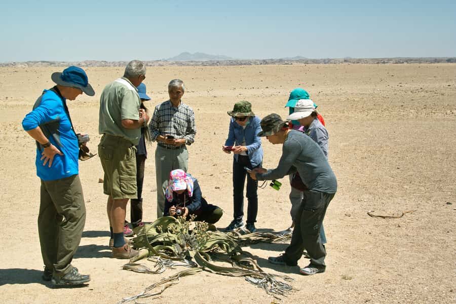 Walvis Bay Shore Excursion: Flamingos, Dune 7, Swakopmund - Climbing Dune 7’s 132 Meters: Worth It, But Pick Your Pace