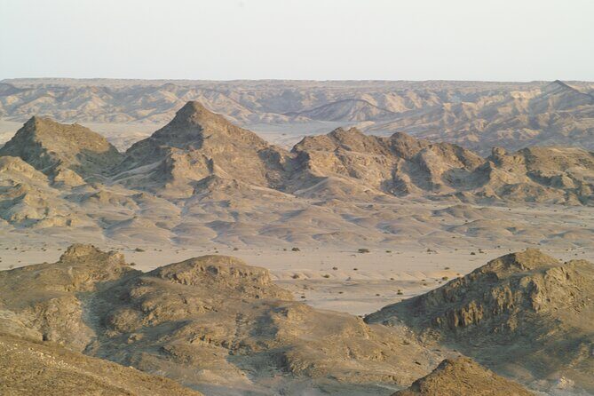 Welwitschia Tour from Swakopmund - Should you book it? My call