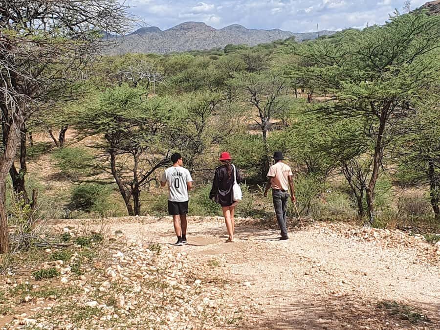 Windhoek: Bushman Walk with the San - Why This San Bushwalk Works in Windhoek