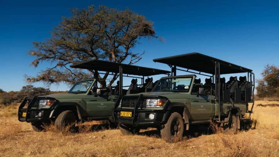 Zannier Game Drive with Hotel Pickup - Windhoek game drive that’s organized, not complicated