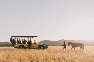 Zannier Game Drive with Hotel Pickup - Getting from Hilton Windhoek to the reserve (and back)